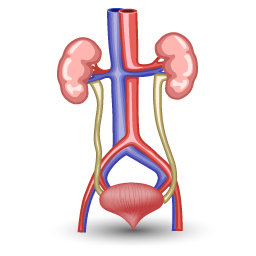 urology_icon