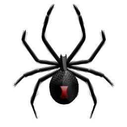 spider_icon