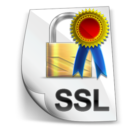 ssl_certificate_icon