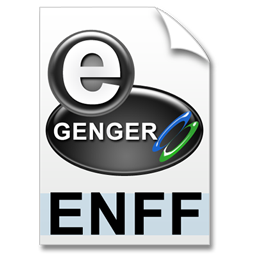 enff_format_icon