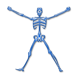 skeleton_icon