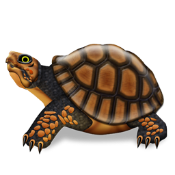 turtle_icon