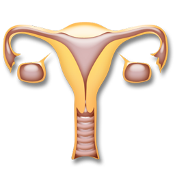 gynecology_icon