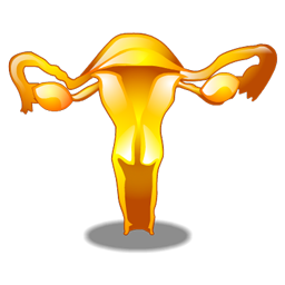 gynecology_icon