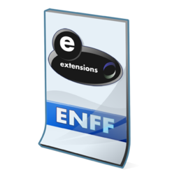 enff_format_icon