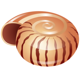 shell_icon