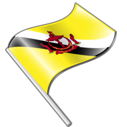 brunei_darussalam_icon