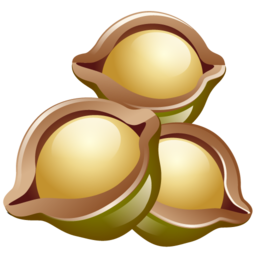 Image result for macadamia nuts icon