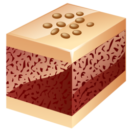 nuts_cake_icon