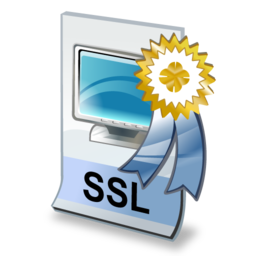 ssl_certificate_icon