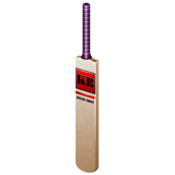 cricket_bat_icon