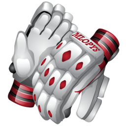 cricket_gloves_icon