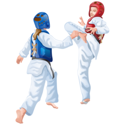 taekwondo_icon
