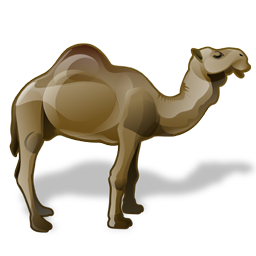 camel_icon