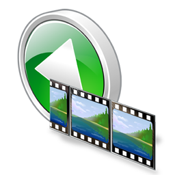 reverse_video_icon