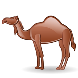 camel_icon