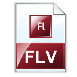 flv_icon