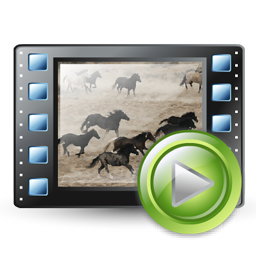 play_video_icon