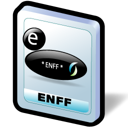 enff_format_icon