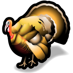 turkey_icon