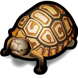 turtle_icon