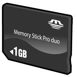 memory_stick_duo_icon
