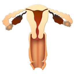 gynecology_icon