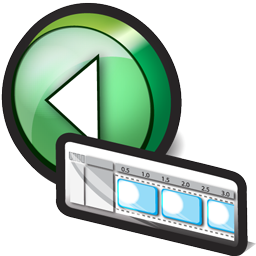 reverse_video_icon