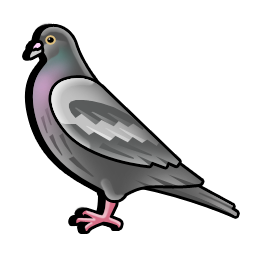 dove_icon