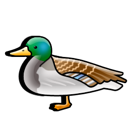 duck_icon