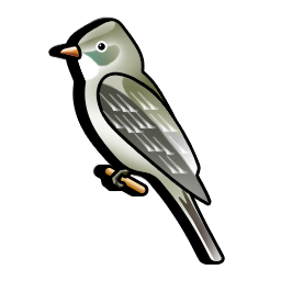 flycatcher_bird_icon