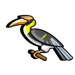 hornbill_bird_icon