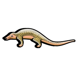 pangolin_icon