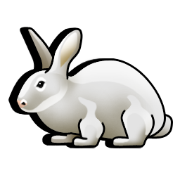 rabbit_icon