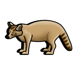 raccoon_icon