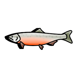 salmon_fish_icon
