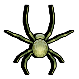 spider_icon