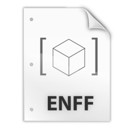 enff_format_icon