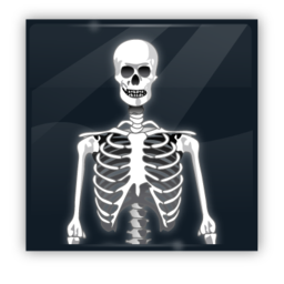 skeleton_icon