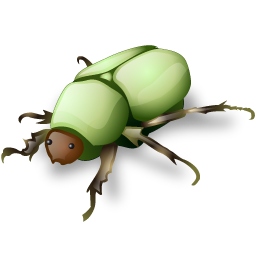 beetle_icon
