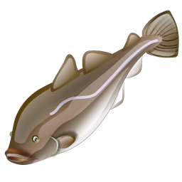 cod_fish_icon