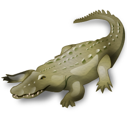 crocodile_icon