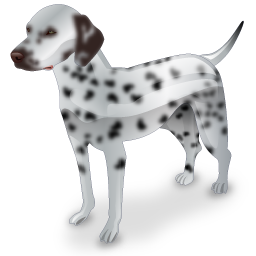 dalmation_icon