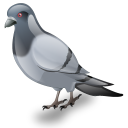 dove_icon