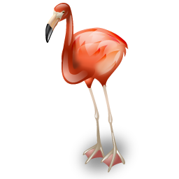 flamingo_icon