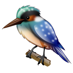 kingfisher_bird_icon