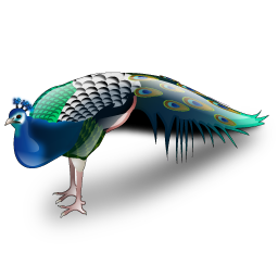 peacock_icon