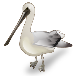 pelican_icon