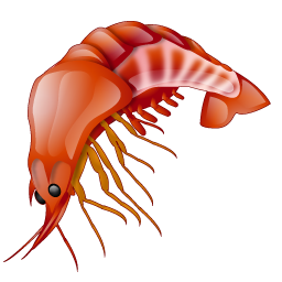 prawn_icon