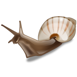 snail_icon